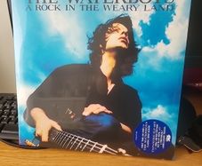 THE WATERBOYS a rock in the weary land 2 blue vinyl