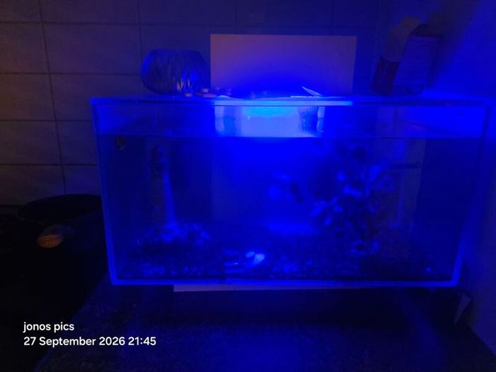 fish tank
