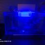 fish tank Image 2