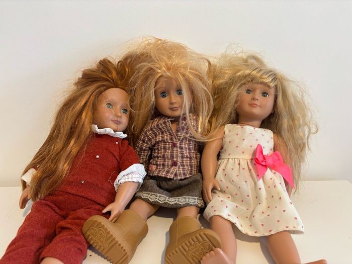 Our Generation Doll Bundle