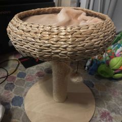tylish Woven Cat Bed and Scratching Post