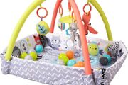 Baby Peppermint Trail Play Gym (FREE POSTAGE)