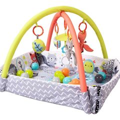 Baby Peppermint Trail Play Gym (FREE POSTAGE)