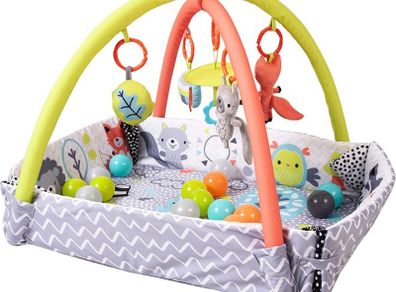 Baby Peppermint Trail Play Gym (FREE POSTAGE)