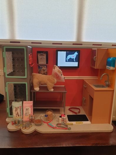 Our Generation Vet Clinic Set For Sale in Wicklow Town, Wicklow from ...