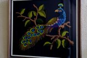 Vintage framed punch needle embroidered peacock