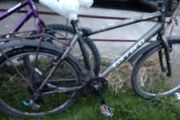 bikes