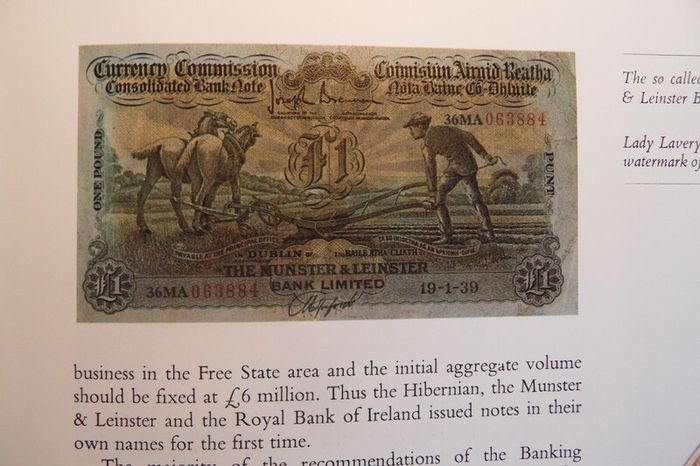 Old Hard Back Book Root And Branch Allied Irish Bank, Yesterday, Today, Tomorrow, Published In 1979  In Perfect Condition !