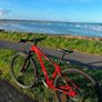 Like New Fully Serviced Trek Marlin 6 29 Inch Mountain Bike M/l Frame Image 5