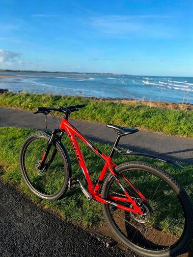 Like New Fully Serviced Trek Marlin 6 29 Inch Mountain Bike M/l Frame