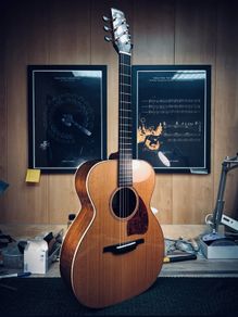 mcnally guitar