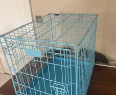 dog crate