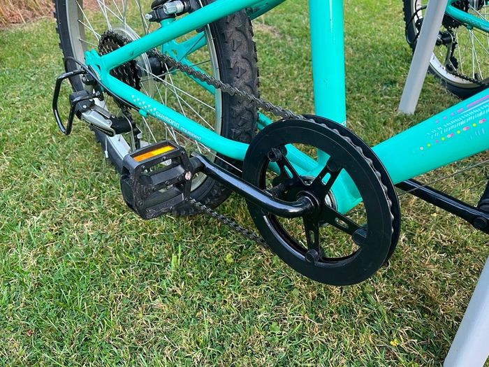 2 kids bikes