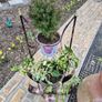 flower pot metal design art work ceramic pot barrel design siting on 2 brass  spikes unique plant  trees  garden statue Image 3