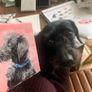 Art! Pet Portrait, Gift Idea Image 7