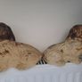 1930s Vintage Plaster Spaniel Dog Ornaments Image 4