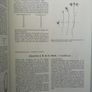 Seeds of Woody Plants in North America: Revised and Enlarged Edition Image 3