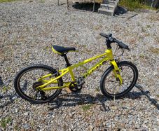 Kids bike 2021 Giant ARX 20