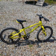 Kids bike 2021 Giant ARX 20