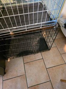 Dog Crates