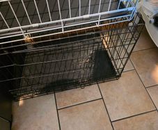 Dog Crates