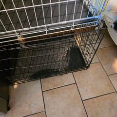 Dog Crates