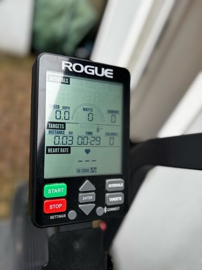 Rogue Echo Bike