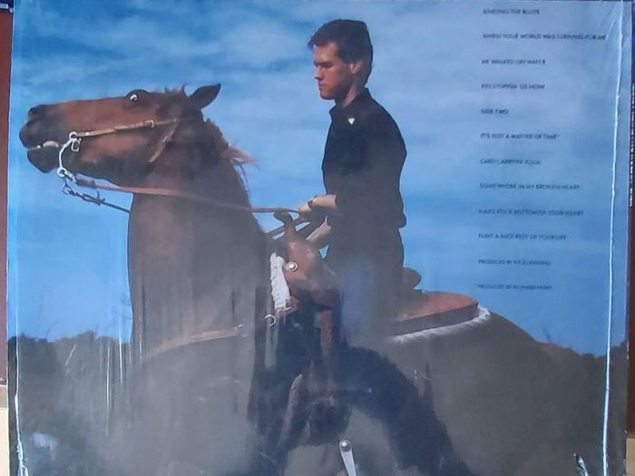 Randy Travis - No Holdin' Back Vinyl