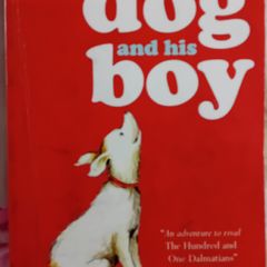 One dog and his boy