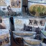 Lord of the Rings AOME play sets Image 5