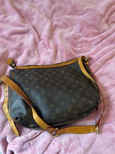 Louis Vuitton Bag Authentic