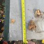 9 heavy duty roof flashings 9ft2 green coated Image 4