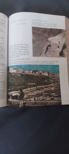 American  Bible