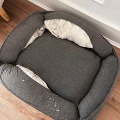 Dog/Cat Bed
