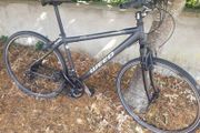 Hybrid bike