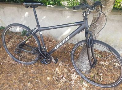 Hybrid bike