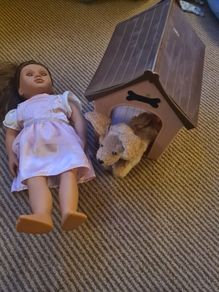 Our generation dolls and dog with house