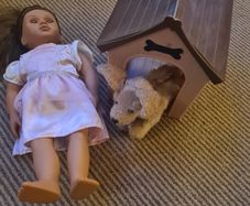 Our generation dolls and dog with house