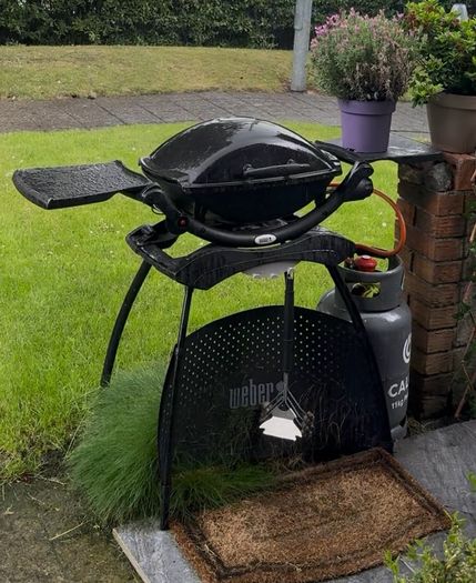 Weber Q2000 Gas BBQ