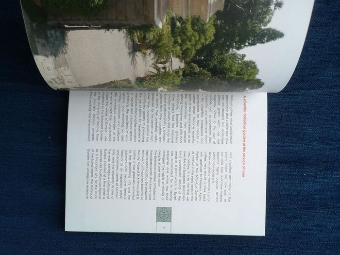 1545 The Hortus Simplicium Of Padova - The Oldest University Botanical Garden In The World