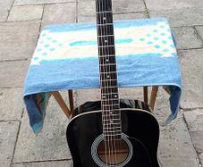 Acoustic Guitar