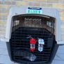PetMate Ultra Fashion Vari Kennel IATA Airline Pet Carrier Medium 28 Inch Image 4