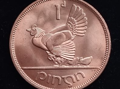 Ireland - 1968 - 1 Penny - Hen with Chicks - KM.11 - [269]