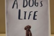 Children's book 'A Dog's Life by Ann M Martin