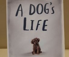 Children's book 'A Dog's Life by Ann M Martin