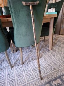 Walking Stick