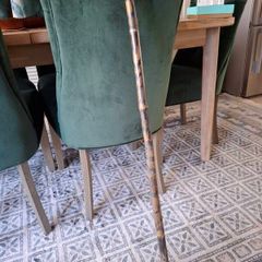 Walking Stick