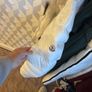 White moncler Image 6
