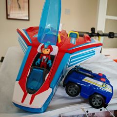 Paw patrol