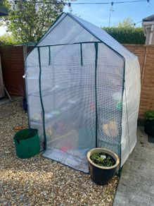 Greenhouse